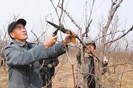 成人看片免费APP 成人看片免费APP