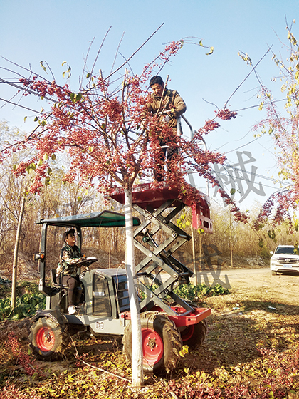 多功能高空作业平台 多功能高空作业平台