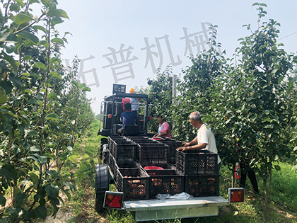 多功能果园作业平台 多功能果园作业平台