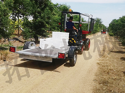 成人深夜看片网站