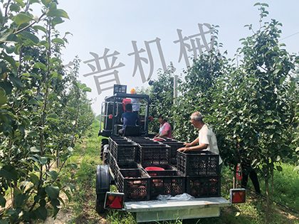 成人深夜看片网站