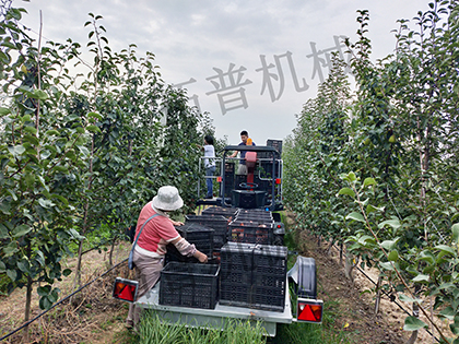 成人深夜看片网站