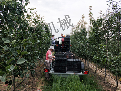 成人深夜看片网站