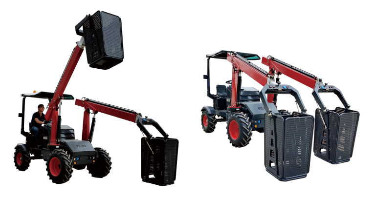 全面修枝整形 提升城市园林绿化形象 全面修枝整形 提升城市园林绿化形象