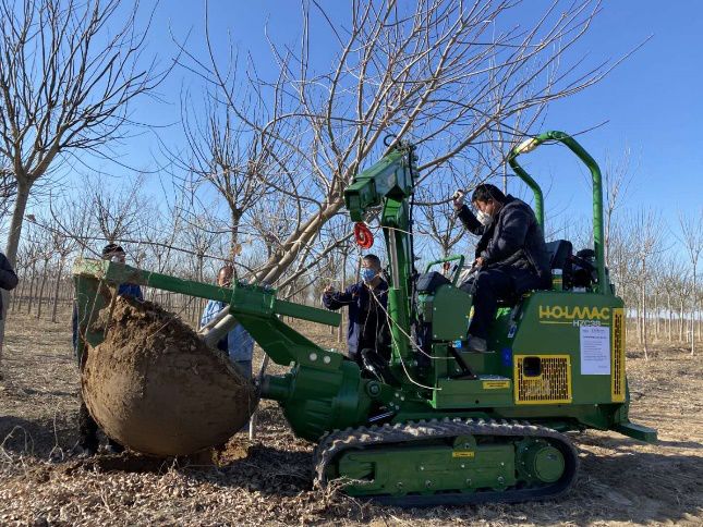 进口成人看片免费APP 进口成人看片免费APP