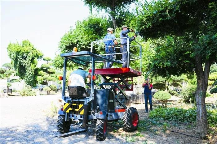 果园采摘平台 果园采摘平台