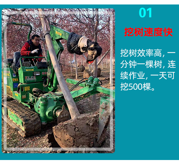 成人看片免费APP 成人看片免费APP