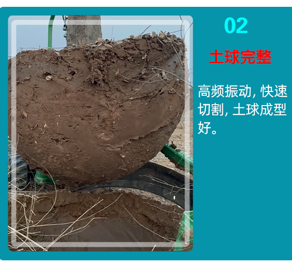 成人看片免费APP 成人看片免费APP