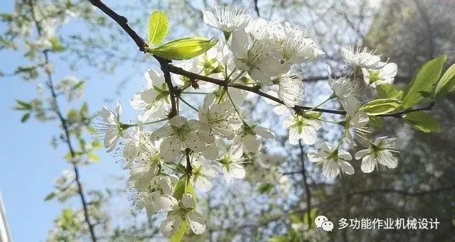 多功能果园作业平台--果园管理的好搭档！
