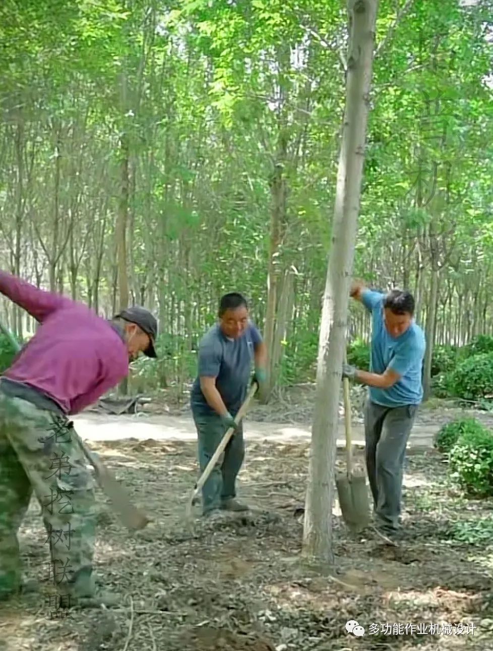 1655541986195965.jpg 微信图片_20220618162657.jpg