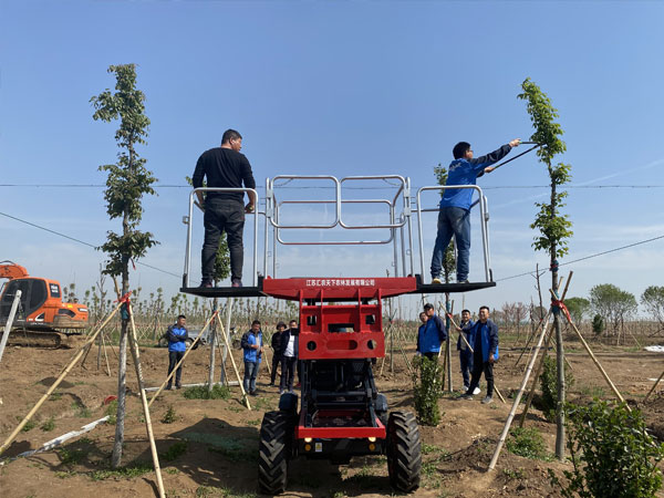 如何选择适合自己的果园采摘平台？