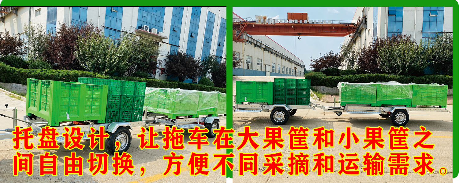 果园运输成人深夜看片网站