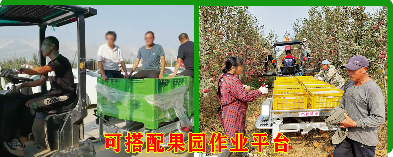 果园运输成人深夜看片网站