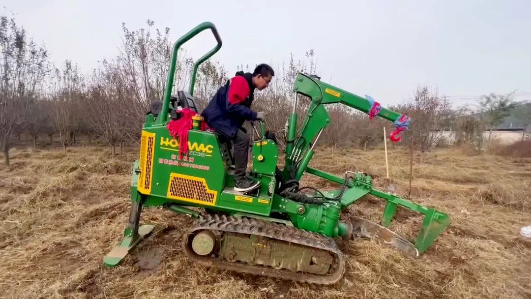 1704505657856669.jpg 山东潍坊挖树.jpg